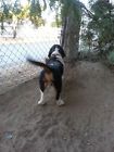 023922168061 Lionel