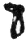 Tcp7013 7013 Trout Creek Brass Upper Staff Brake Bracket Model Railroad Lost Tcp7013 7013 Trout Creek Brass Upper Staff Brake Bracket Model Railroad Lost