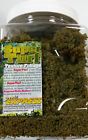 Ex865b Scenic Express Moss Green Superturf 646074086528