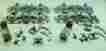 F3 F7 All Nation 12 Diesel Trucks Zamak Castings Only