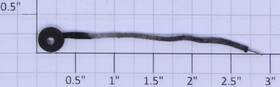 711-75 Lionel 3 Inch Lamp Lead Assembly 10