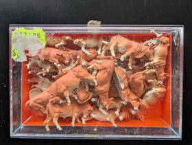 14409 Preiser Ho 1 87 #14409 30 Pc Cows Bulls Calves Package Model Figure