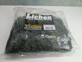 Ex8022 Scenic Express Multi Scale Natural Dark Green Lichen Blend 8.8 Ounces