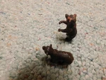 Preiser Scale 1/25 CAT#47518 Brown Bear Cubs X2 For Lgb Circus Zoo. Fixed Price $17.99.