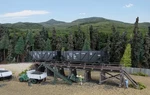 Walthers Cornerstone Ho Scale Building/structure Kit Coal Unloading Trestle. Fixed Price $27.49.