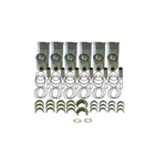 For International Navistar DT466 Esn 440036 To 532980 Engine Overhaul Kit NOKDT4. Fixed Price $1458.77.