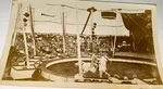Rare Antique Vintage American Circus Performer Horseback Ring Snapshot Photo!. Fixed Price $34.99.