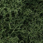 Woodland Scenics 163 All Scale Lichen 1.5QTS 1.4L -- Medium Green. Fixed Price $12.99.
