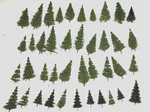 Faller 181493 Ho And Silver Firs Assort (pack Of 40). Fixed Price $22.99.