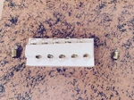 Lionel 51 (Q-90) 6 Volt Light Bulbs For Trains & Accessories 10 Pack. Fixed Price $8.49.