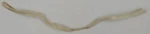 American Flyer XA10523 12" Smoke Unit Wick With Resistor Wire. Fixed Price $10.00.