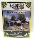 Woodland Scenics Trackside Scenes TS151 Possum Hollow Scale Sealed. Fixed Price $29.00.