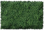 Scenic Express Flock & Turf Foams Ground Textures Green Tones 32 EX806B. Fixed Price $21.98.