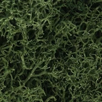 Woodland Scenics L163 Lichen Medium Green 86.6 In Cu Bag. Fixed Price $15.99.