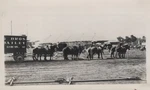 Ringling Bros Rbbb Circus Draft Horses Wagon 62 Big Top 1937 - Original Photo. Fixed Price $45.00.