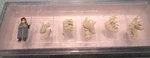 Preiser #79160 Animals - Shepherd & Flock W/dog (n 1:160TH Scale). Fixed Price $13.75.