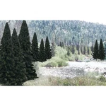 Woodland Scenics TR1585 Ready Made Tree Evergreen 2"-4" (18) Value Pack. Fixed Price $32.25.