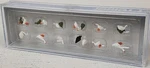 Preiser #14167 Ho 1/87 Set Of 18 Assorted Ducks, Geese & Swans Figures. Fixed Price $18.39.