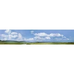 Faller 180514 H0 Schwarzwald-baar Model Railroad Background 3000MM X. Fixed Price $103.76.