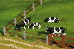 Faller 180431 Ho Scale Paddock Fence #2. Fixed Price $14.99.