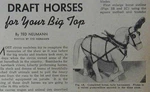 Draft Horse For Model Circus Farm 1951 How-to Build Plans. Fixed Price $7.99.