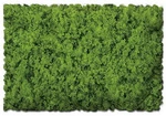 Scenic Express EX811B Coarse Spring Green Flock & Turf - 32 Oz. Shaker. Fixed Price $18.33.