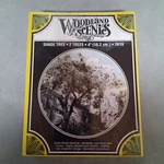 Woodland Scenics Shade Tree - 2 New In Box TK19 4" Tall. Fixed Price $12.95.