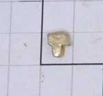 Lionel 214-14 Short Brass Refrigerator Door Catch (10). Fixed Price $10.00.
