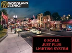 Woodland Scenics Just Plug Lighting System : Scale Street Or Traffic Lights. Fixed Price $30.98.
