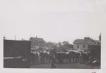 Ringling Bros Rbbb Draft Horses Circus Wagon Hitch 1930S - Original Photo. Fixed Price $30.00.