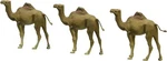 Preiser 20397 Ho Animals - Dromedaries Figures (set Of 3). Fixed Price $23.70.