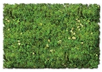 Scenic Express Flock & Turf Foams Ground Textures Blended Tones EX884B. Fixed Price $23.98.