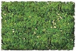 Scenic-expr Foams Amp; Ground Textures Alpine Meadow Blend Model. Fixed Price $17.20.