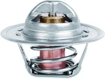 For 1975-1977 American Motors Hornet Thermostat Mishimoto 23568FZXB 1976. Fixed Price $50.00.