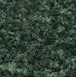 Woodland Scenics 1365 All Scale Coarse Turf Shaker 32OZ -- Dark Green. Fixed Price $11.99.