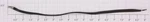 Lionel 2330-59 9-INCH Long Conductor Wire (12). Fixed Price $8.40.