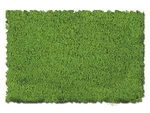 Scenic Express EX810C Fine Spring Green Flock & Turf - 64 Oz. Gripper Jug. Fixed Price $32.24.