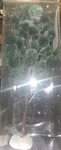 Department 56 Christmas Viillage 15" Jack Pine Tree Retired 52622. Fixed Price $12.50.