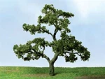 Jtt (ho-scale) 92323 Pro-elite Beech Tree 3" To 3.5" (2-PACK). Fixed Price $17.85.
