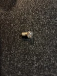 Lionel Replacement Part - Clear Lamp Bulb 18V 0.08A W/ Screw Base 6104092300 New. Fixed Price $8.00.