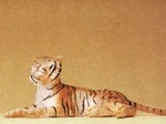 Preiser 47510 Animals - Tiger Lying Down Figure. Fixed Price $27.52.