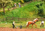 Faller 180857 Ho Scale Garden And Field Fences -- 4 Different Styles. Fixed Price $8.99.
